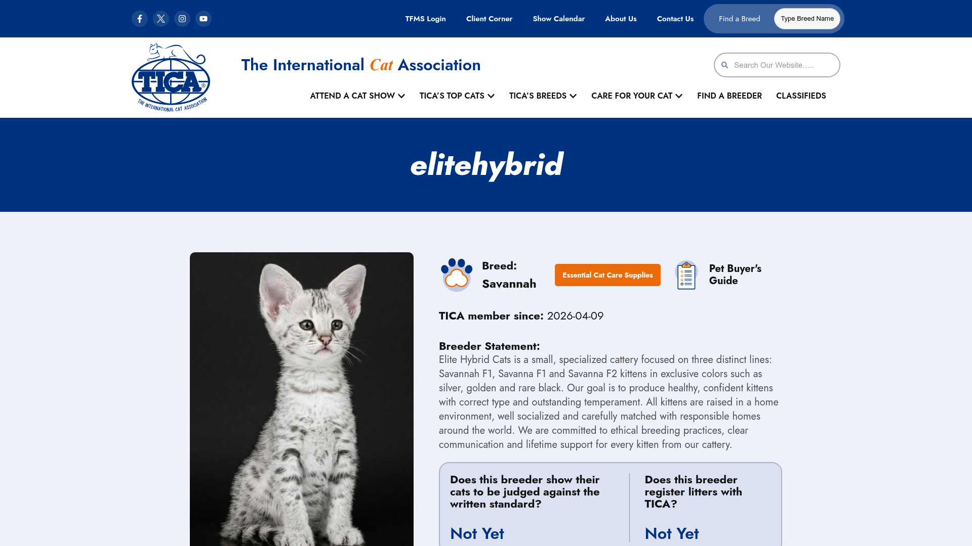 Elite Hybrid Cats TICA listing screenshot